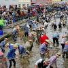 Beim traditionellen Fischertag dürfen nur Männer in den Memminger Stadtbach steigen.  	