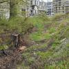 Vom Biotop zwischen der ULP-Baustelle und dem Jugendzentrum in Landsberg ist nicht mehr viel übrig.