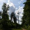 Die Mehrheit im Oberrother Gemeinderat ist der Meinung: Im Oberrother Wald sollte die Errichtung von Windrädern ohne erneute Regionalplanung möglich sein. 