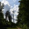 Im Landkreis Dillingen gibt es mehrere Windkraftanlagen. Die acht Zöschinger Windräder stehen im Wald „Bei der Kreuzbuche“ verteilt. Seit zwei Jahren gibt es auch Pläne für Anlagen im Weisinger Forst.