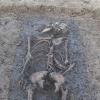 Dieses Skelett haben Archäologen bei Reimlingen gefunden. Es könnte sich um einen männlichen Heranwachsenden handeln.