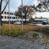 Zehn 60 Jahre alte Bäume rund um den Parkplatz am Dossenberger-Gymnasium in Günzburg sind in den Herbstferien gefällt worden. Das kritisiert der Bund Naturschutz stark.