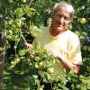 Pomologe Anton Klaus: In seinem Garten wachsen 520 Apfelsorten.