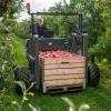 Körperliche Gefahren gehen von der Kleinen Roten Spinne weniger aus. Doch wirtschaftlich kann das Tier große Schäden anrichten - zum Beispiel auf Obstplantagen.