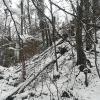 Die Pähler Schlucht stellt auch im Winter eine beeindruckende Naturkulisse statt, etwa wenn sich bei Frost große Eiszapfen bilden.