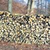 Der Forstbetrieb Kaisheim verkauft Brennholz aus den staatlichen Wäldern der Region sowohl an Selbstwerber als auch an gewerbliche Kunden. 