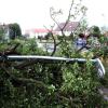 Umgestürzter Baum (Birnenbaum) im Monsignore-Hornung-Weg in Biberach - Eine Straßenlaterne sowie ein Gartenzaun wurden dabei umgerissen.