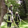 Die Feuerwehr Donauwörth löschte einen Baumbrand an der Promenade.