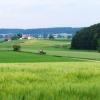 Der Mariensteig zwischen Altenstadt und Kellmünz ist einer der ältesten Wanderwege der Region.