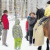 Arro begleitete die Pfadfinder des VCP Lechrain bei ihrer Tour durch die Winterlandschaft.  