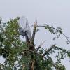 Eine Schneise der Verwüstung hinterließ ein Unwetter am Montag im Landkreis. Die größten Schäden gab es in Großaitingen, auch der Schwabmünchner Stadtteil Birkach war betroffen.