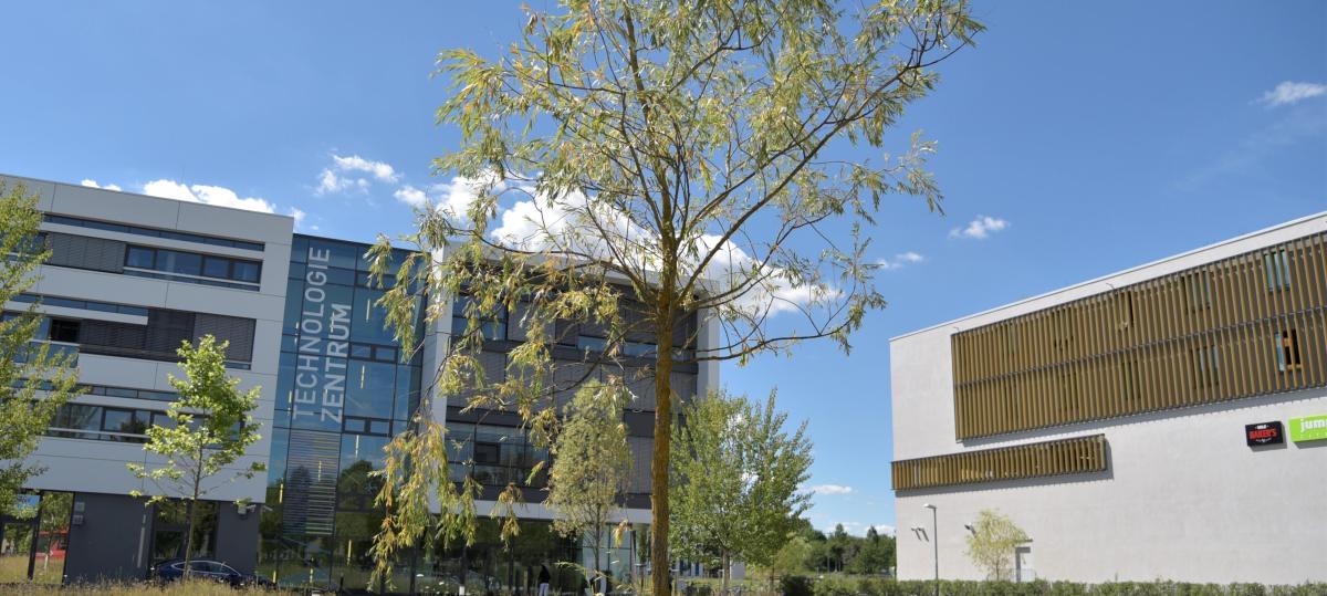 600 neue Bäume im Innovationspark: Startschuss für ein grünes Projekt fällt