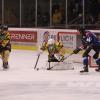 In der Eishockey-Bayernliga gewinnt der HC Landsberg (dunkle Trikots) sein letztes Heimspiel gegen den EC Pfaffenhofen. Mit 5:2 setzen sich die Riverkings gegen den Tabellenletzten durch. Hier die Bilder vom Spiel.