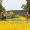 Wandern durch Gerbishofen und Eldratshofen: Das Kaltental bietet eine spannende Wanderung auf Spuren der Kelten. Im Sommer führt der Weg vorüber an sonnengelben ­Hahnenfußfeldern.