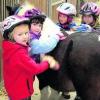Unter dem Motto "Kinder stark machen mit Pferden!" veranstaltete der Reit- und Fahrverein Thierhaupten/Ötz einen Tag für Kinder auf dem Reiterhof. Foto: Hildegard Steiner