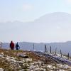 Bei Wanderern beliebt: die Alpe Beichelstein bei Seeg im Ostallgäu. Der Aufstieg ist einfach und deshalb auch für ältere Menschen und Kinder geeignet. 