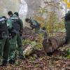 Immer wieder durchsuchte die Polizei nach dem Mord an Mathias Vieth das Gelände rund um den Tatort im Siebentischwald.