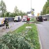 Ein umgefahrener Baum blockierte die Amagasaki-Alle im Stadtgebiet Augsburg.