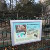 Wo heute die Kapuzineräffchen ihr Gehege haben, gab es nach Auskunft von Tina John vom Zoo-Marketing einmal einen zweiten Zugang in den Tierpark. Warum dieser geschlossen wurde, kann heute niemand mehr beantworten. Die Vermutung: Es gab Zeiten, in denen im Siebentischwald geparkt werden durfte.  	