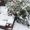 "Der Schnee war leider zu schwer in Zusmarshausen", berichtet unsere Leserin Nadja Sander.  