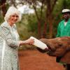 Königin Camilla (l) füttert ein Elefantenbaby beim Besuch im Nairobi-Nationalpark.