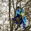 Ein Flüchtling sitzt auf einem Baum am Sendlinger Tor in München (Bayern). Mit einem Großaufgebot hat die Polizei am Mittwochabend ein Camp hungerstreikender Flüchtlinge geräumt.