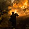 Feuerwehrleute versuchen, einen Brand in einem Wald im Norden der Insel Euböa zu löschen. Die Waldbrände wüten in ganz Griechenland weiter. Vor allem auf der Insel Euböa, wo am Wochenende Tausende Menschen evakuiert wurden. 