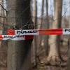 In einem Waldstück bei Herrsching haben Polizeikräfte nach dem Mord an einem 74-Jährigen Hinweise auf den Täter gefunden.
