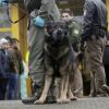 Bei der Durchsuchung in Welden waren auch Polizeihunde im Einsatz