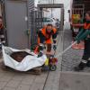 Ein Wildschwein ist am Donnerstag in den C & A in Dillingen gestürmt und wurde getötet.