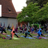 Yoga mit Picknick für den guten Zweck: Am 1. August findet die Aktion der Rieser Nachrichten im Garten des Rieskratermuseums statt. 