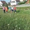 Zur Besichtigung einer Blumenwiese in Balzhausen
trafen sich Bürgermeister Daniel Mayer, Andreas Mayer, Thomas Stahl,  Stefan Koralewska und Beatrice Weiss.