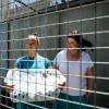 Wentworth, Staffel 8: Sky-Start, Folgen, Handlung, Schauspieler, Trailer.