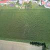 In Kühbach ist ein verzweigtes Labyrinth in einem Maisfeld angelegt worden.