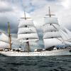 Das Schulschiff der Marine, die "Gorch Fock", läuft unter Segeln über die Kieler Förde.