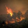 Der griechische Zivilschutz warnte für Sonntag für weite Teile Griechenlands vor extrem hoher Waldbrandgefahr.