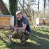 Der Meringer Herbert Rappel ist Imker im Vollerwerb. Drei seiner insgesamt gut 80 Bienenstöcke stehen an der Kunstmühle in Mering.