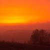 Wegen des Saharastaubs ist der Himmel bei Sonnenaufgang rötlich gefärbt. Ein Naturphänomen, an welches wir uns gewöhnen müssen.