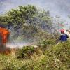 Auf Sizilien (im Bild) loderten vor wenigen Wochen mehrere Feuer. Auch Sardinien ist nun von Waldbränden betroffen. 