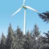 Im Juni 2011 sah die Vision von Bürgermeister Georg Duscher in Sachen erneuerbaren Energien noch so aus, wie es unsere Fotomontage andeutet: Im Körperschaftswald von Winzer könnte ein Windrad entstehen. Jetzt wurde der Standort aus dem Windatlas gestrichen.  