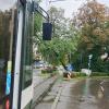 Durch den Sturm brachte einen Baum an der Straßenbahnhaltestelle Klinkerberg in Schieflage, dadurch musste der Straßenbahnverkehr eingestellt werden