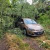 Ein Mann wurde bei Offingen im Sturm von einem umstürzenden Baum eingeklemmt. Der Baum war auf sein Auto gestürzt.