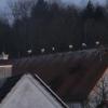 Das Dach von Schreieggs Post in Thannhausen erweist sich als beliebter Storchentreff.  	