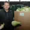 Werner Hopf, Geschäftsführer der Gartenbauzentrale Main-Donau in Gundelfingen mit frisch geerntetem Gemüse