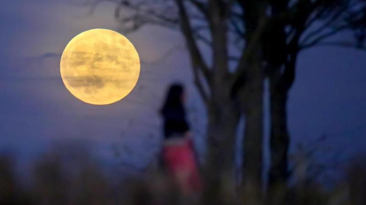 Mondkalender 2025 Wann ist Vollmond im Januar 2025? Und wann ist