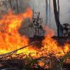 Schon seit Oktober wüten die Buschbrände in Australien, doch nun hat sich die Lage zugespitzt: Allein in New South Wales ist mittlerweile eine Fläche der Größe Belgiens abgebrannt.