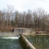 Am Illerwehr bei Oberbalzheim werden jetzt Bäume gefällt. Hier soll ein Fischaufstieg gebaut werden.