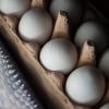 In fast allen deutschen Bundesländern wurde inzwischen Fipronil in Eiern nachgewiesen.