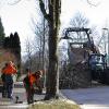 Baum fällt: Acht kerngesunde, 40 Jahre alte Kastanien mussten in der Sudetenstraße in Ettringen gefällt werden, weil durch ihr Wurzelwerk weitere Schäden an Kanalnetz und Wegen drohten. Einige Anlieger schimpften auf die Gemeinde, weil die Bäume der Kettensäge zum Opfer fielen. Andere sind sauer, weil drei Bäume stehen geblieben sind. 