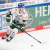 Niklas Länger und die Augsburger Panther bleiben in der Deutschen Eishockey Liga.